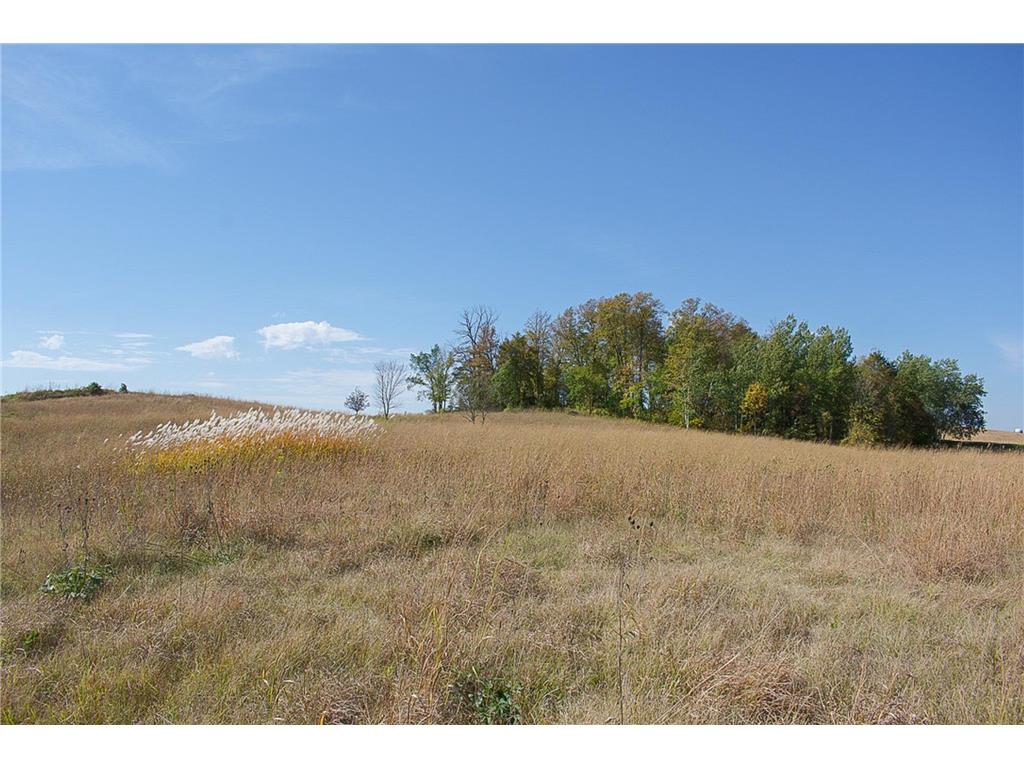 21173 280th Street Richmond MN 56368 7059840 image60