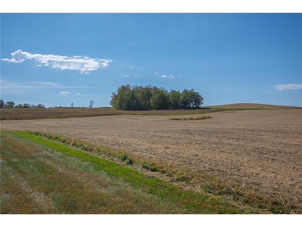 21173 280th Street Richmond MN 56368 7059840 image65