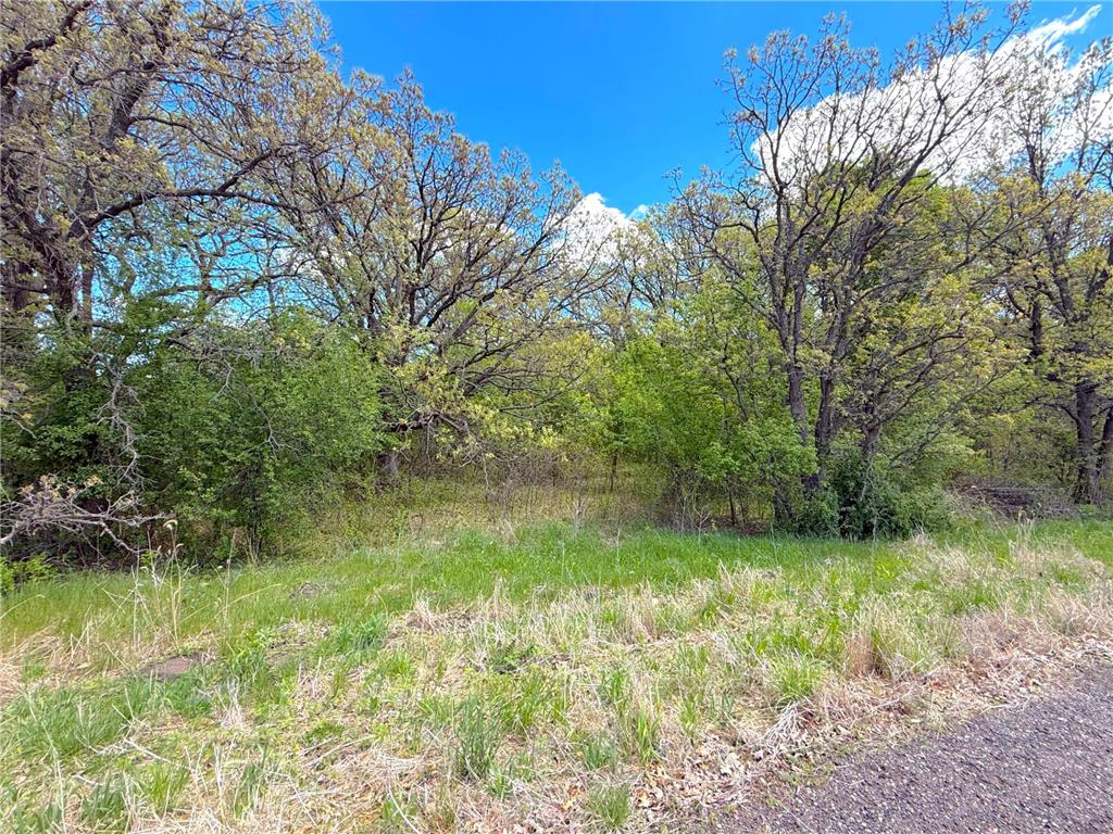 211XX County Road 75 Clearwater MN 55320 - Plum Creek 7083093 image11