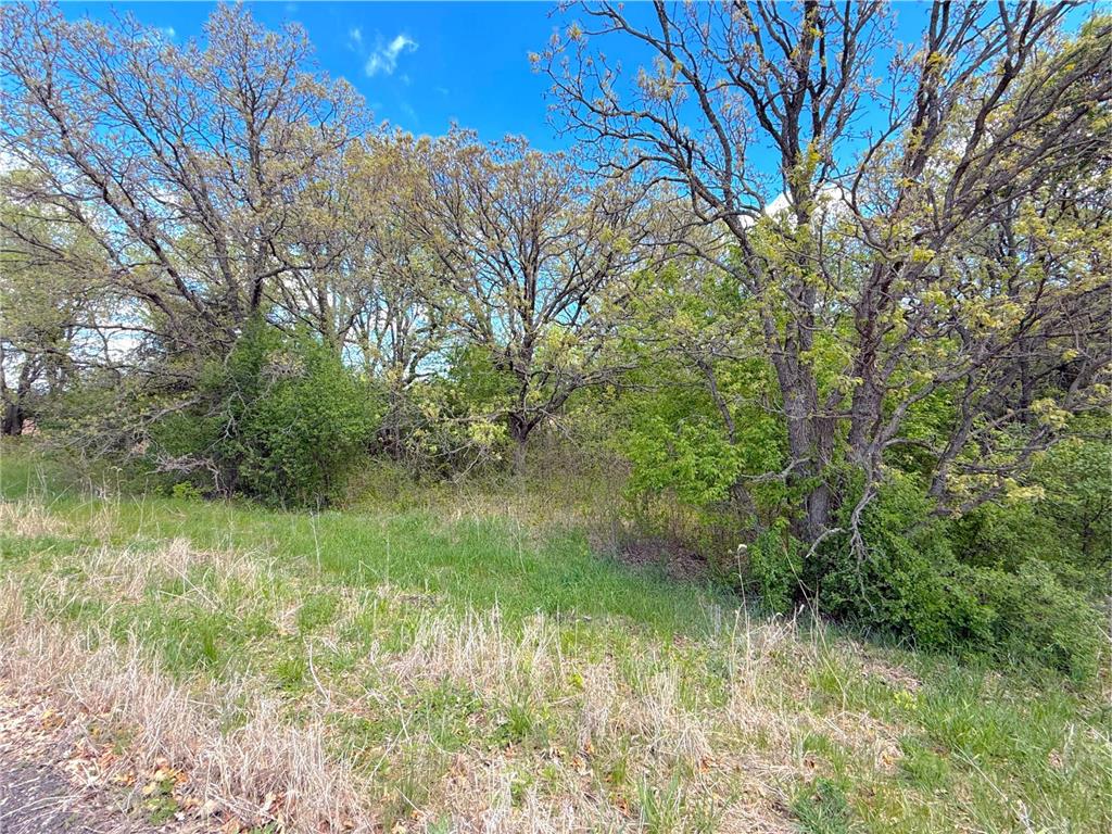 211XX County Road 75 Clearwater MN 55320 - Plum Creek 7083093 image12