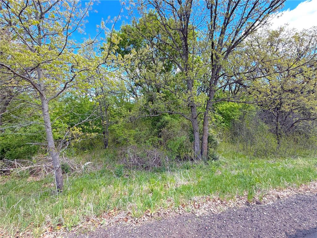 211XX County Road 75 Clearwater MN 55320 - Plum Creek 7083093 image14