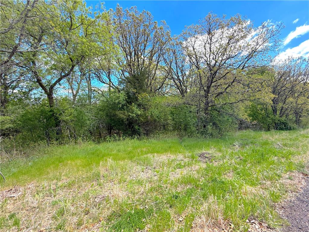 211XX County Road 75 Clearwater MN 55320 - Plum Creek 7083093 image4