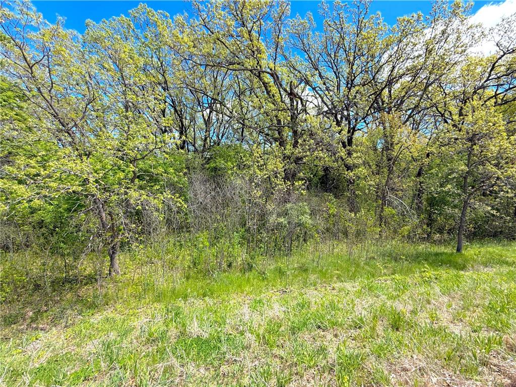 211XX County Road 75 Clearwater MN 55320 - Plum Creek 7083093 image7
