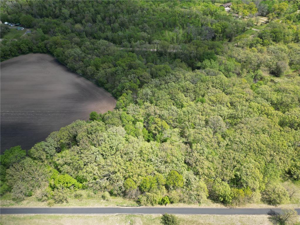 211XX County Road 75 Clearwater MN 55320 - Plum Creek 7083093 image8