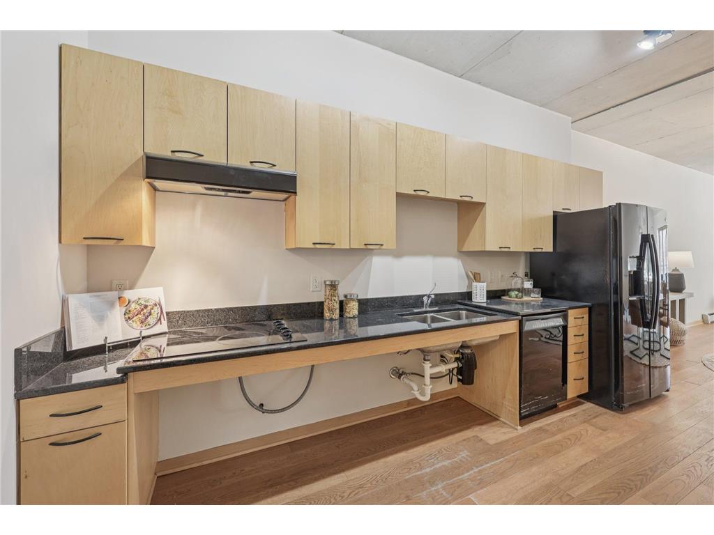 212 1st Street N #202 Minneapolis MN 55401 6813729 image10