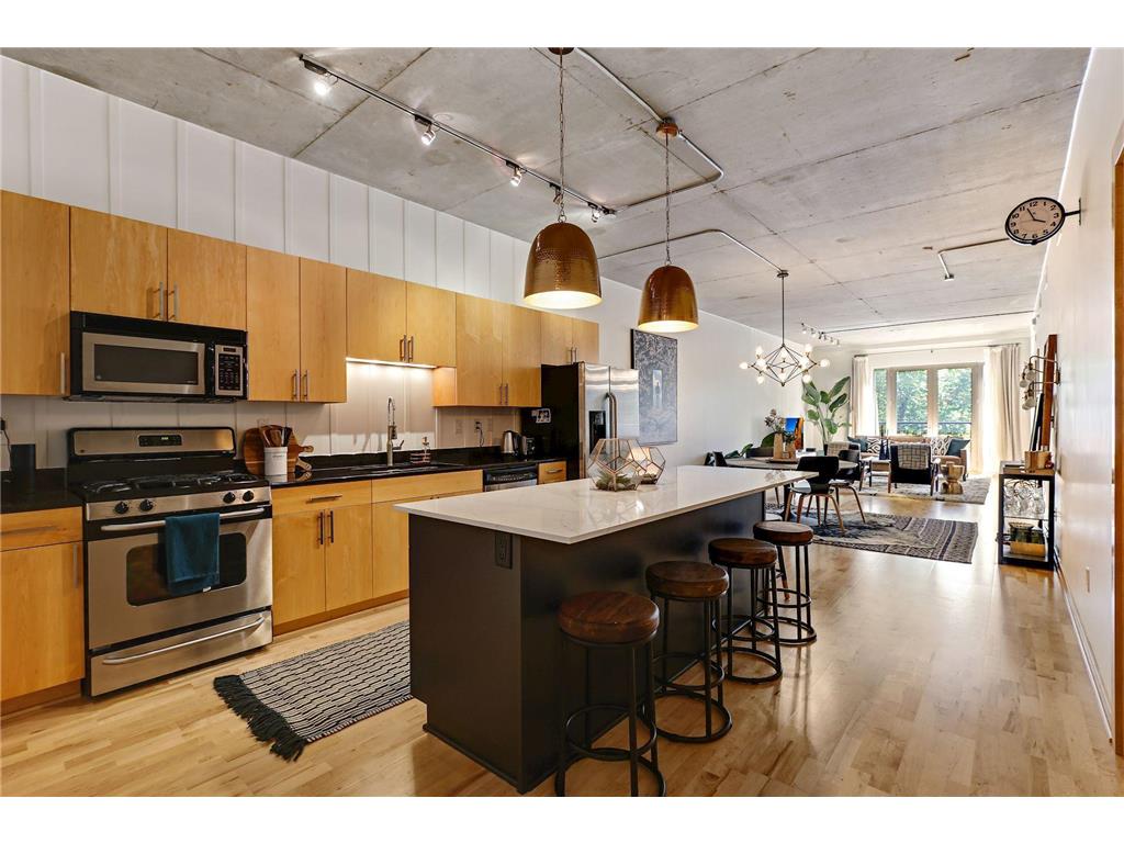 212 N 1st Street #205 Minneapolis MN 55401 6511737 image1