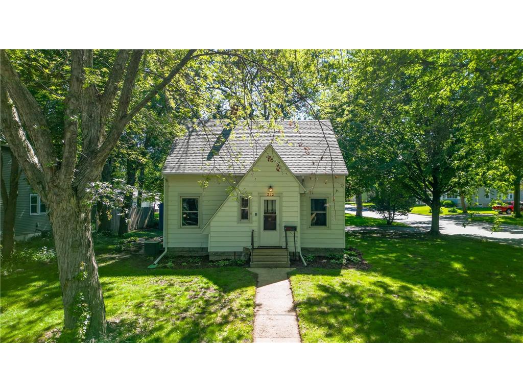 212 S Oakland Street Lake Crystal MN 56055 6756297 image1