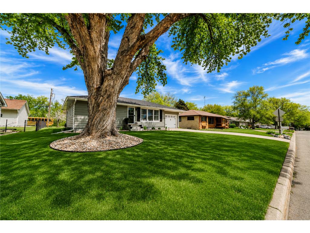 212 Sunset Drive Jordan MN 55352 - Mill Pond 7073595 image4
