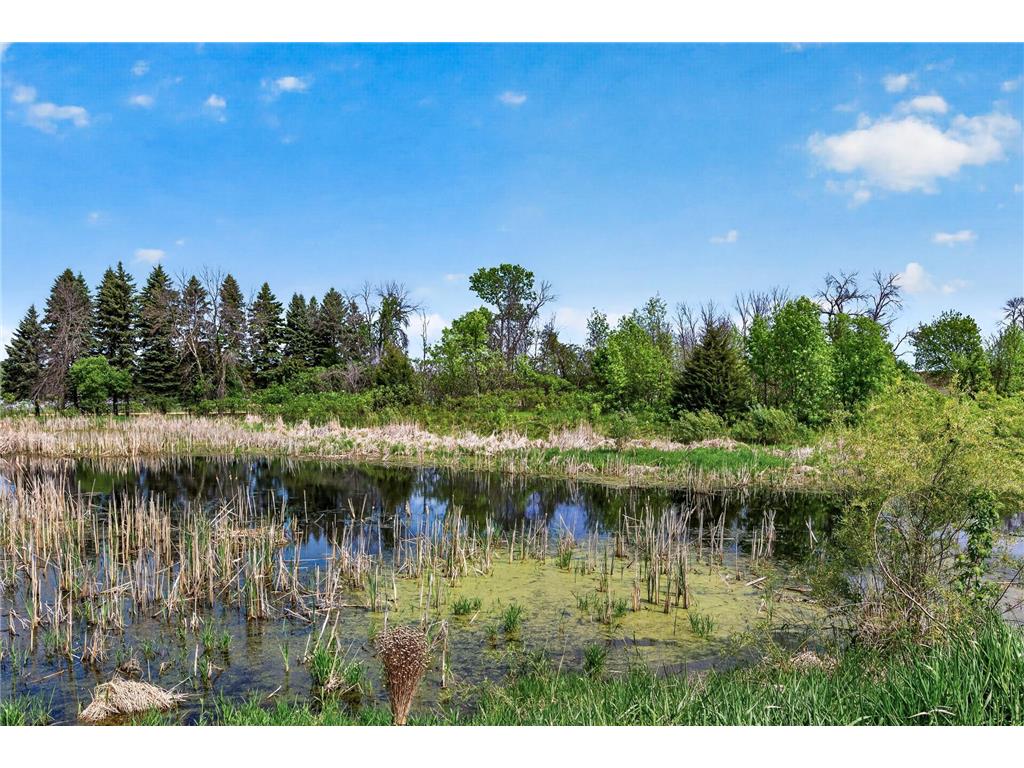 21203 Pinto Place Forest Lake MN 55025 7075890 image22