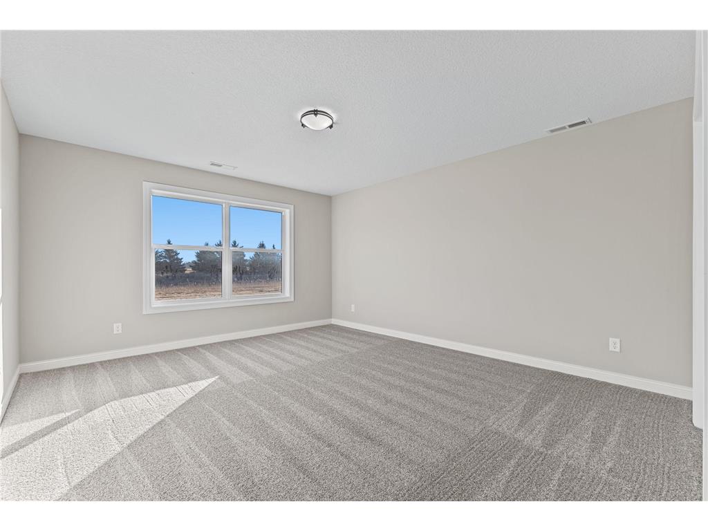 21207 Tippecanoe Street NE East Bethel MN 55011 7064943 image47