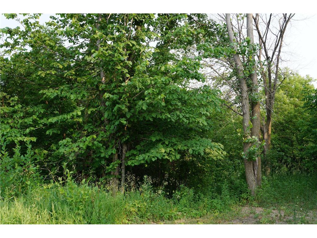 2122 Ruby Terrace Road Elmdale Twp MN 56318 - Long Lake 6379798 image1