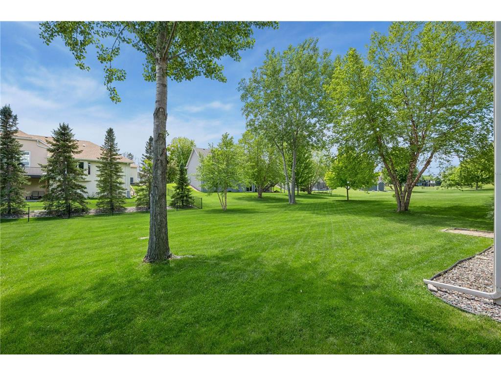 21221 Foxtail Lane Rogers MN 55374 7072320 image40