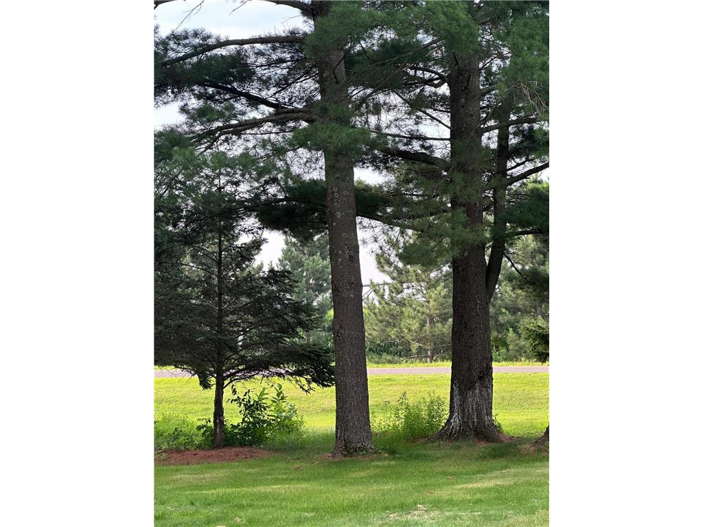 2124 12 1/4 Avenue Cameron WI 54822 7040822 image33