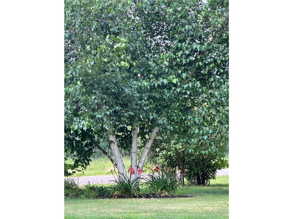 2124 12 1/4 Avenue Cameron WI 54822 7040822 image36