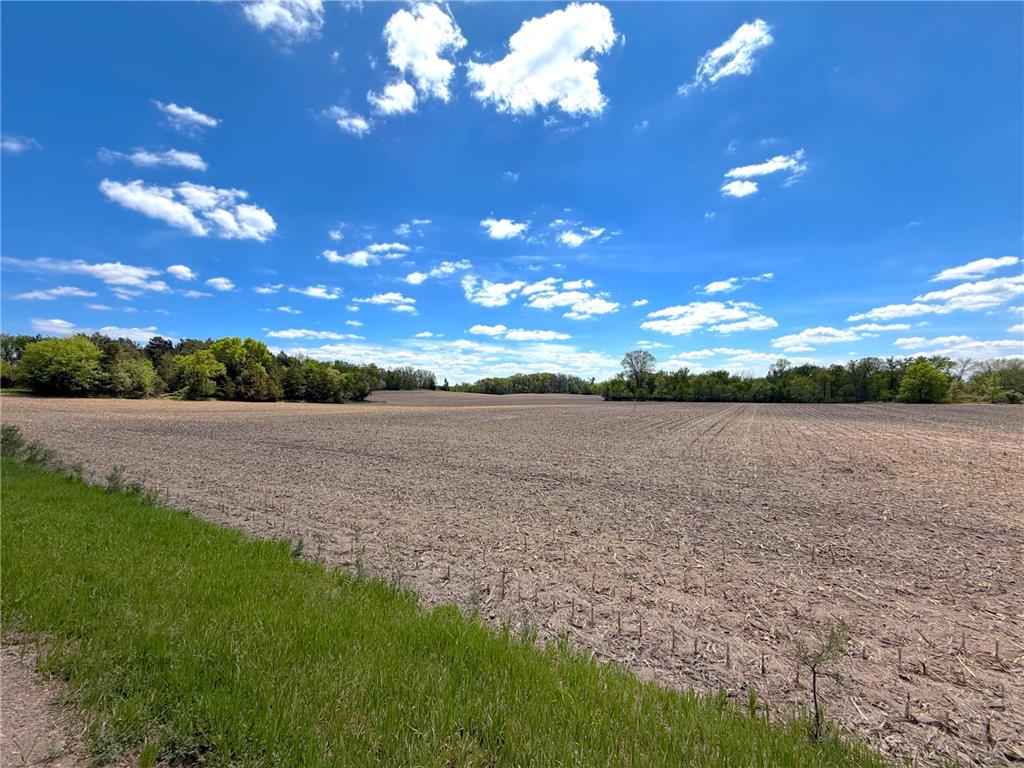 2124X Franklin Road Clearwater MN 55320 - Plum Creek 7083105 image2