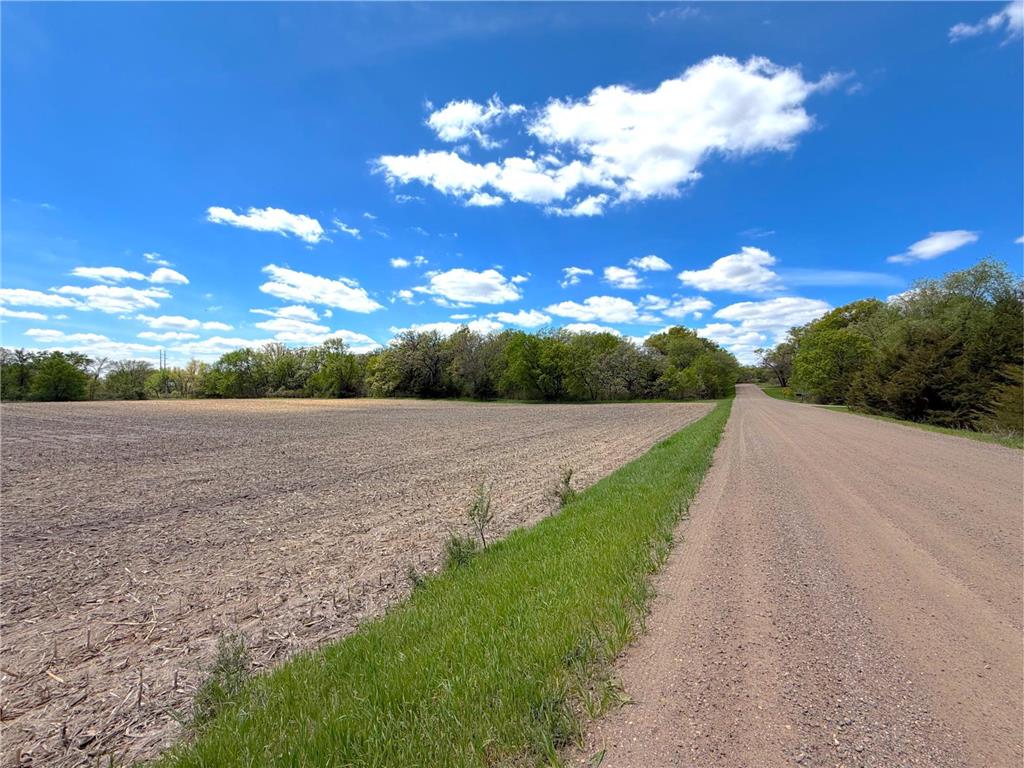 2124X Franklin Road Clearwater MN 55320 - Plum Creek 7083105 image3