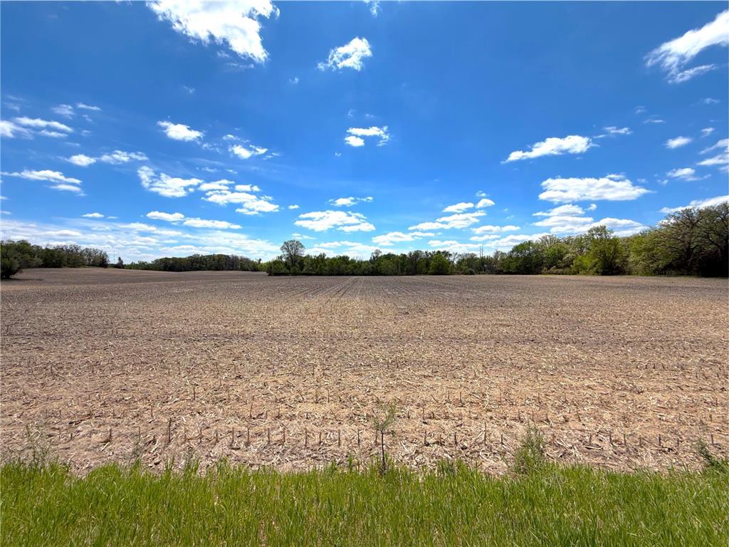2124X Franklin Road Clearwater MN 55320 - Plum Creek 7083105 image8