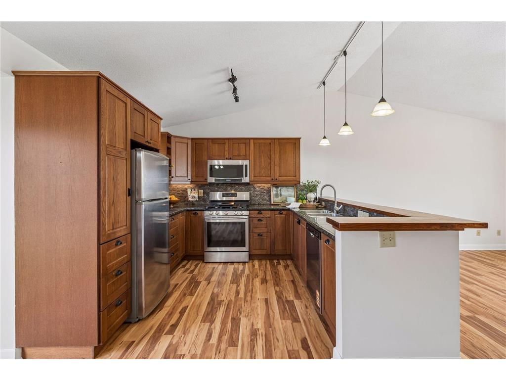 21250 Horseshoe Trail Corcoran MN 55340 7019598 image16