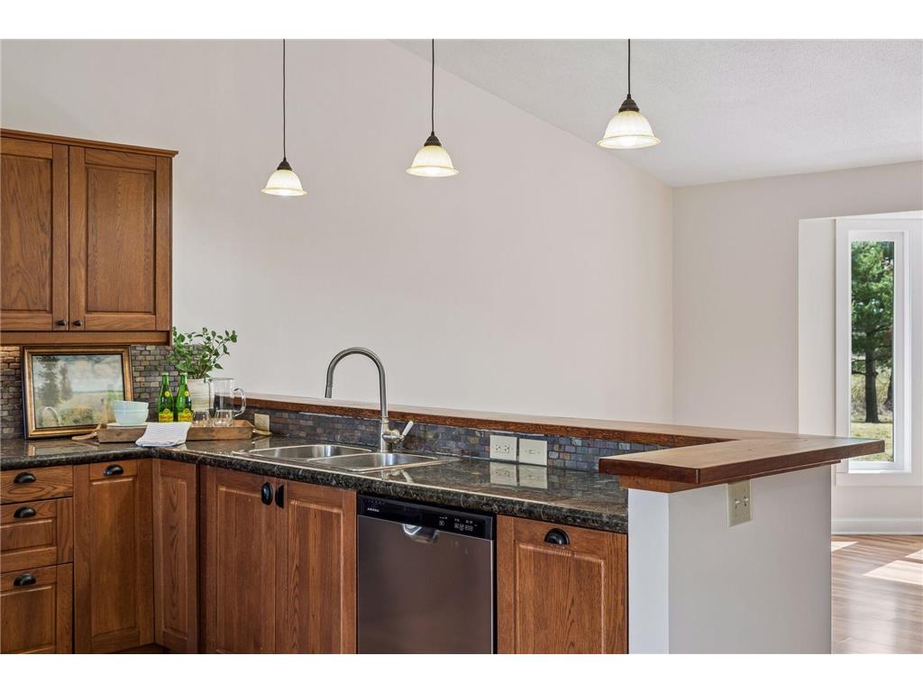21250 Horseshoe Trail Corcoran MN 55340 7019598 image17