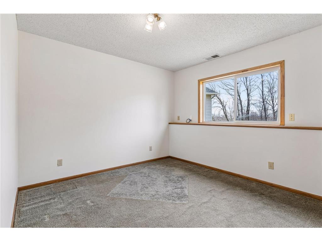 21250 Horseshoe Trail Corcoran MN 55340 7019598 image39