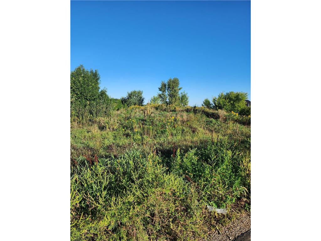 21264 Dorothy Way, Spring Lake Twp, MN, 55372 MLS 6430588 Edina Realty