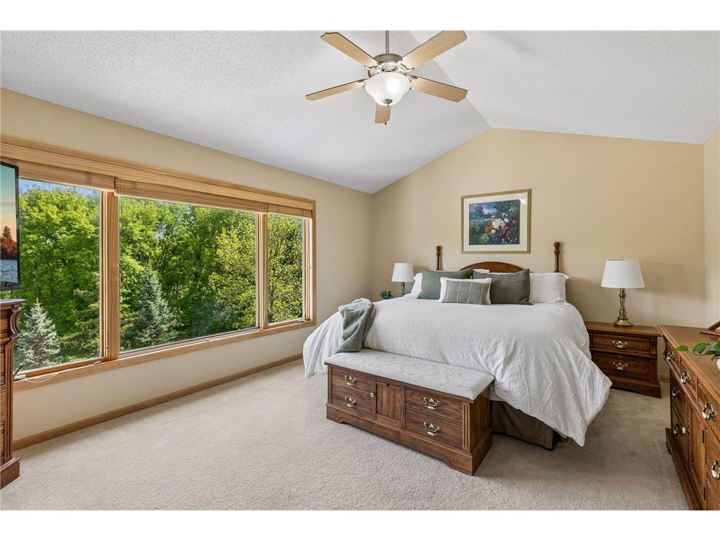 21296 Isotope Trail Lakeville MN 55044 7062261 image23