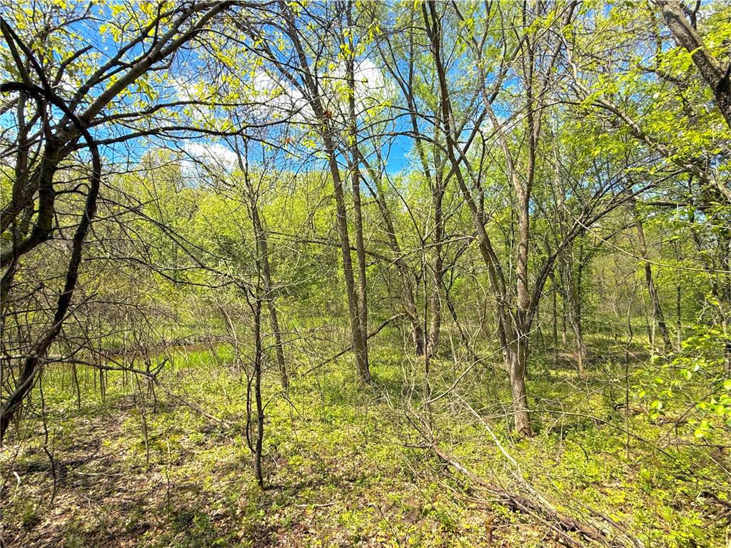 212XX Franklin Road Clearwater MN 55320 - Plum Creek 7083098 image10
