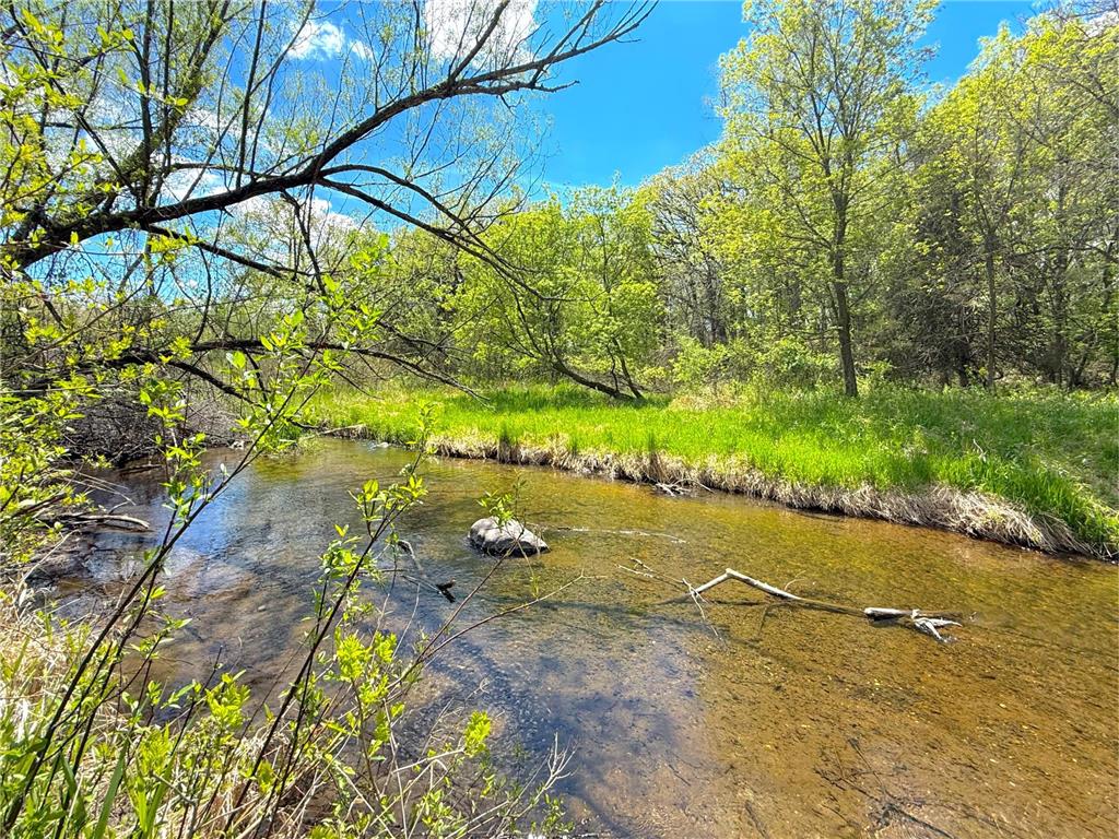 212XX Franklin Road Clearwater MN 55320 - Plum Creek 7083098 image13