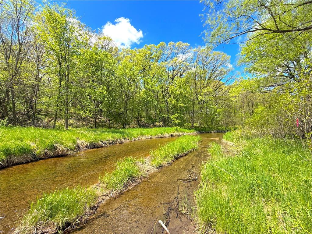 212XX Franklin Road Clearwater MN 55320 - Plum Creek 7083098 image14