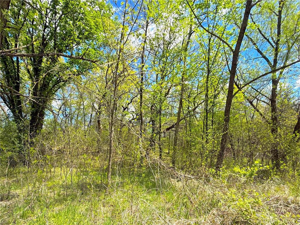 212XX Franklin Road Clearwater MN 55320 - Plum Creek 7083098 image15