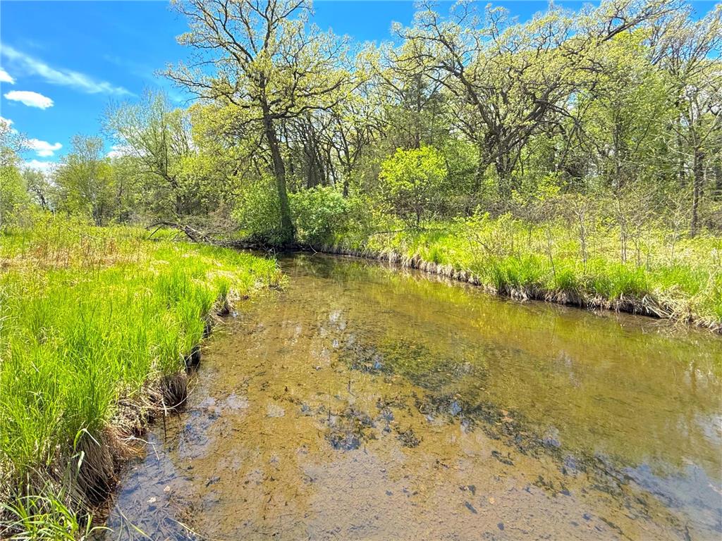 212XX Franklin Road Clearwater MN 55320 - Plum Creek 7083098 image18