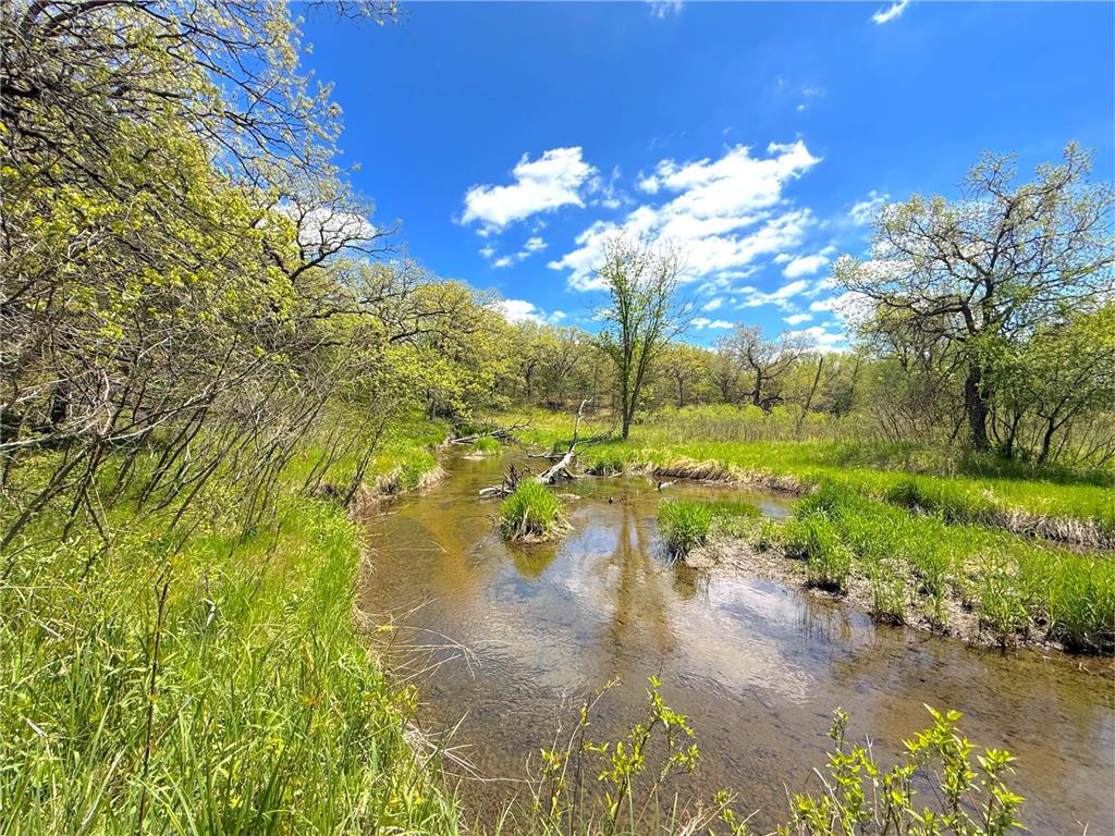 212XX Franklin Road Clearwater MN 55320 - Plum Creek 7083098 image19