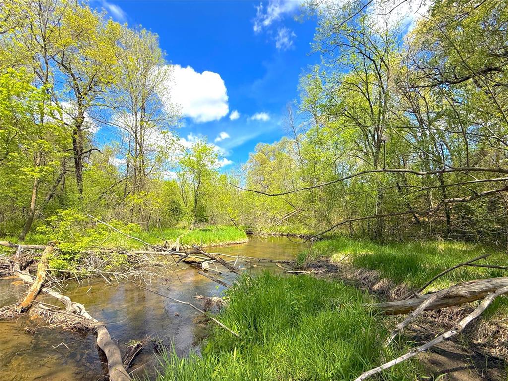 212XX Franklin Road Clearwater MN 55320 - Plum Creek 7083098 image20