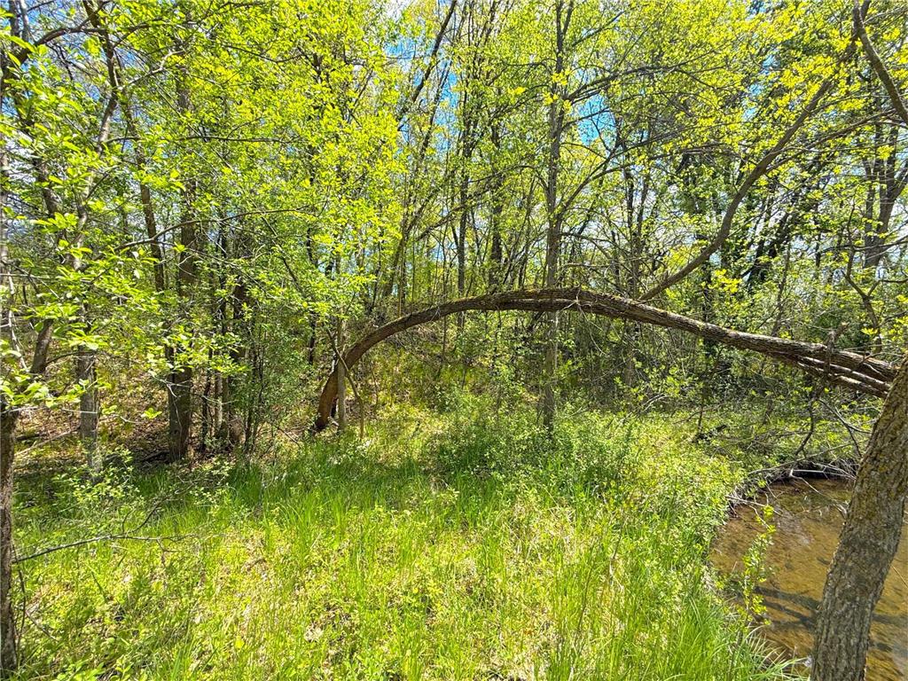 212XX Franklin Road Clearwater MN 55320 - Plum Creek 7083098 image21