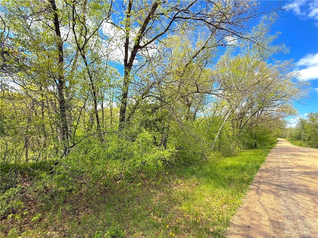 212XX Franklin Road Clearwater MN 55320 - Plum Creek 7083098 image22