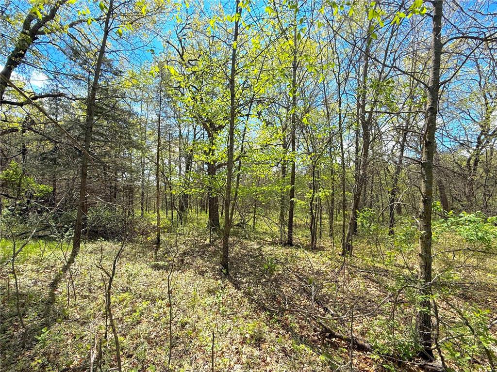 212XX Franklin Road Clearwater MN 55320 - Plum Creek 7083098 image4