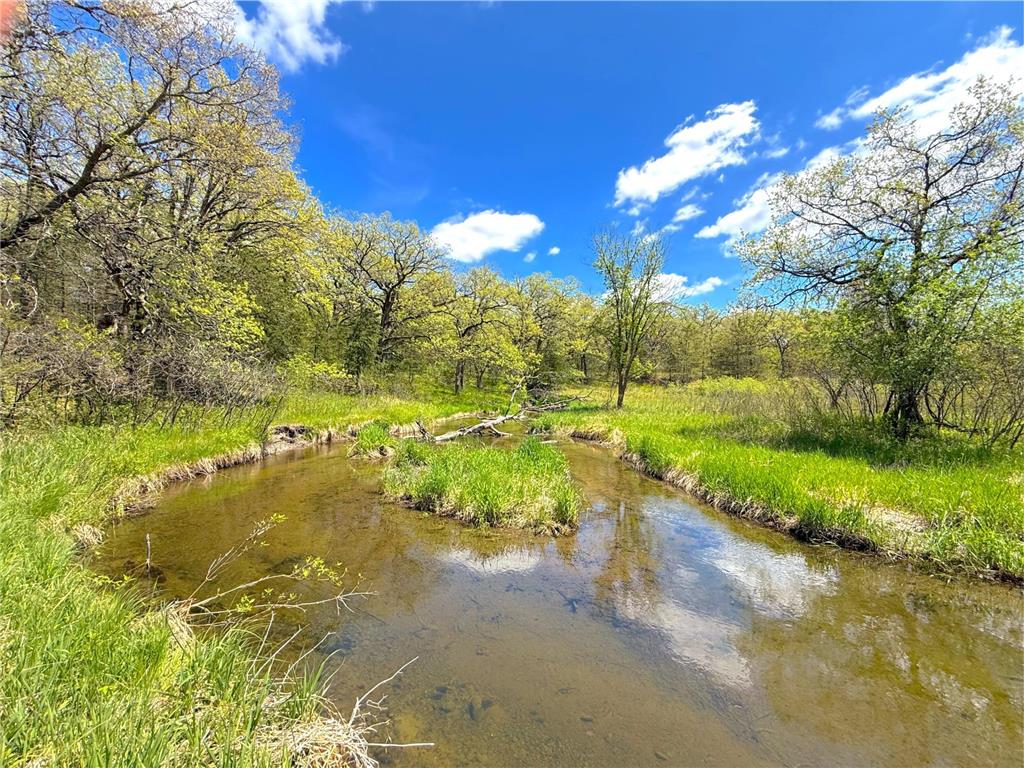 212XX Franklin Road Clearwater MN 55320 - Plum Creek 7083098 image7