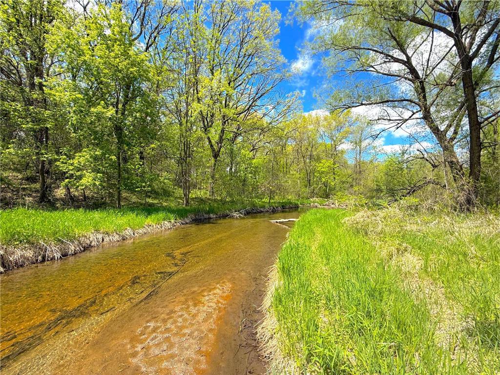 212XX Franklin Road Clearwater MN 55320 - Plum Creek 7083098 image8