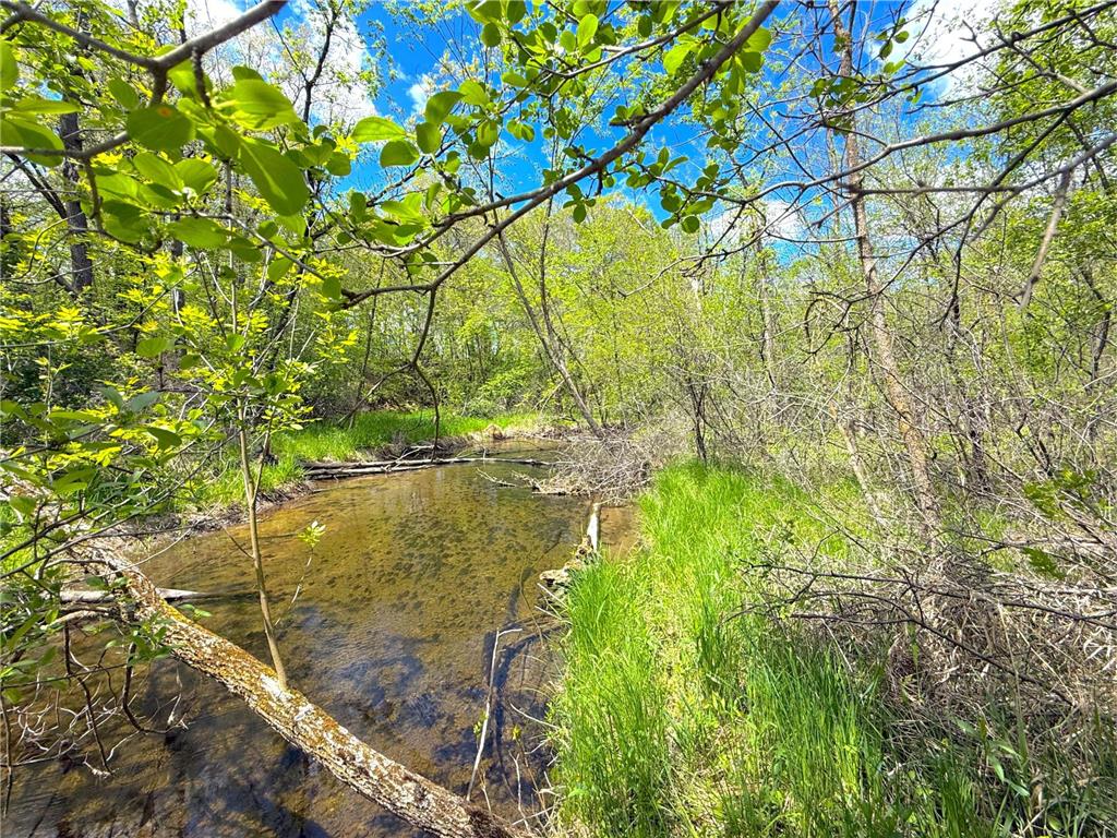 212XX Franklin Road Clearwater MN 55320 - Plum Creek 7083098 image9