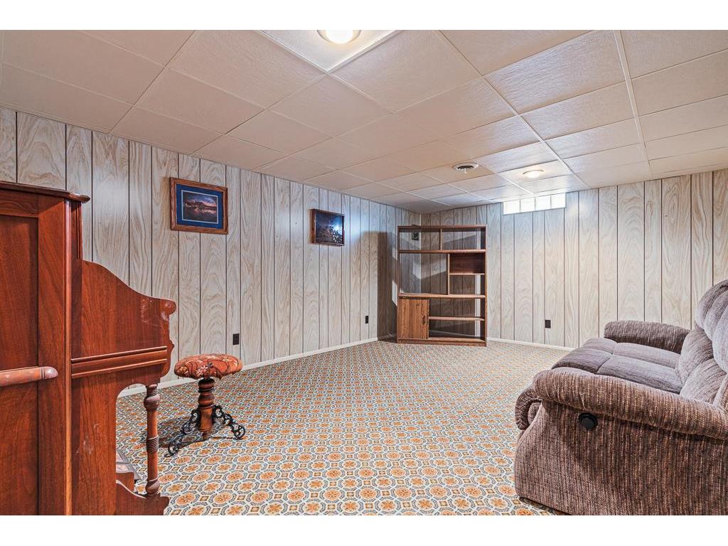 213 2nd Street E Jasper MN 56144 7092797 image43