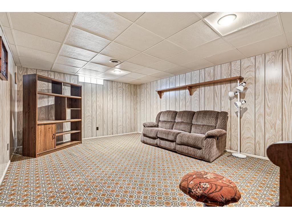 213 2nd Street E Jasper MN 56144 7092797 image45