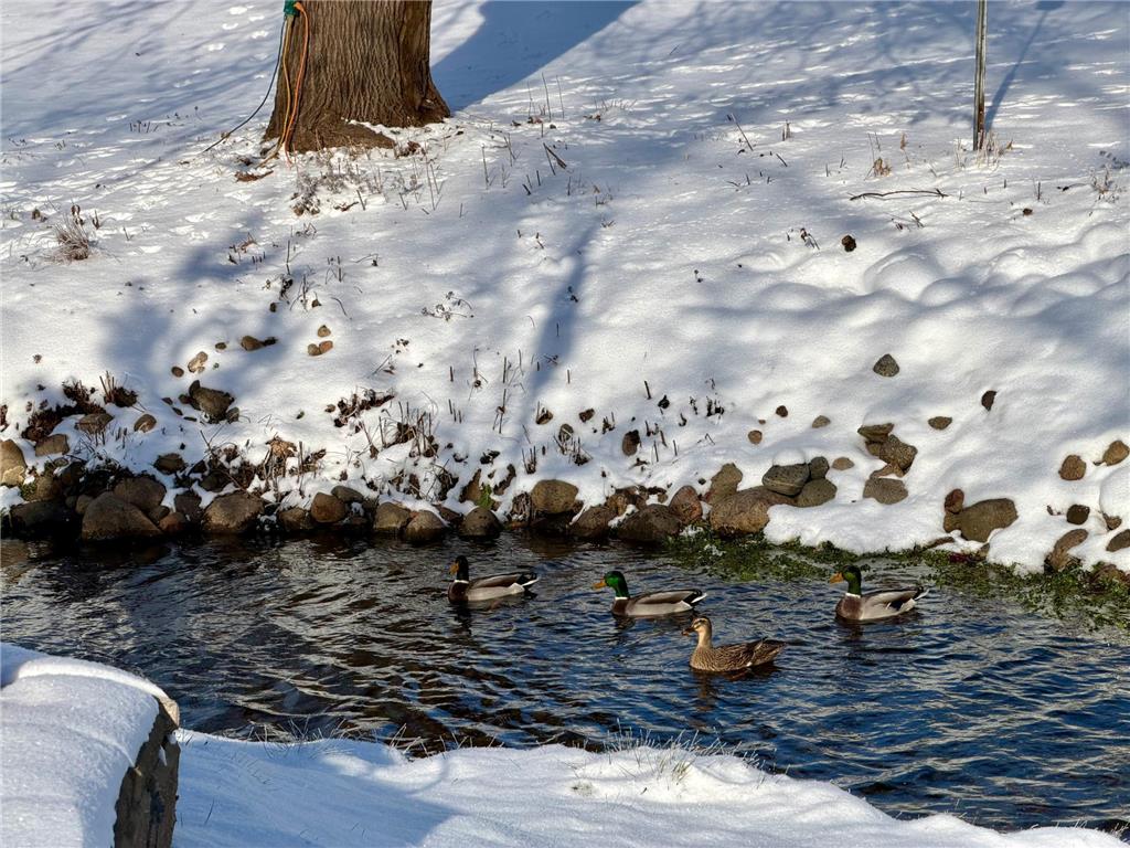 213 2nd Street N Cold Spring MN 56320 6746996 image54