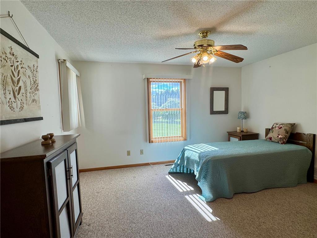 21304 Farm View Drive Henrietta Twp MN 56470 7094431 image11