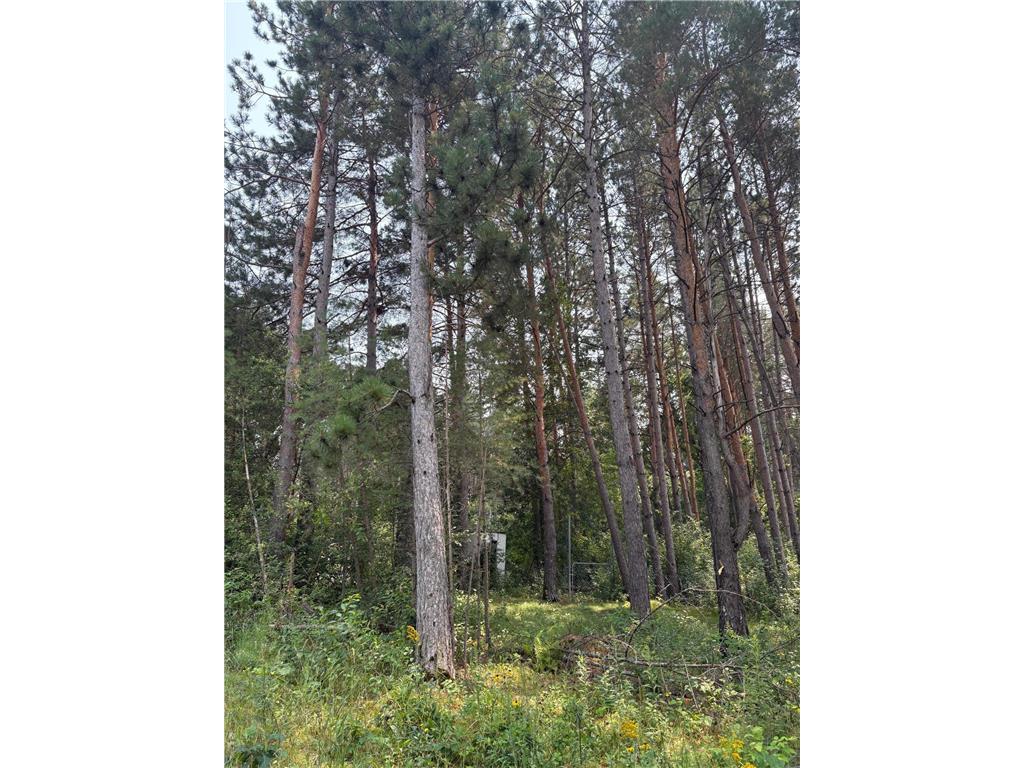 2131 N Brook View Drive Arthur Twp MN 55051 6764954 image3