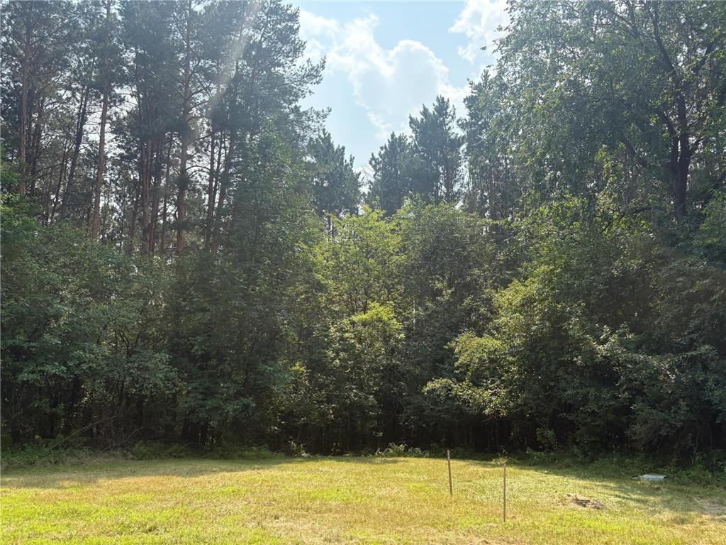 2131 N Brook View Drive Arthur Twp MN 55051 6764954 image4