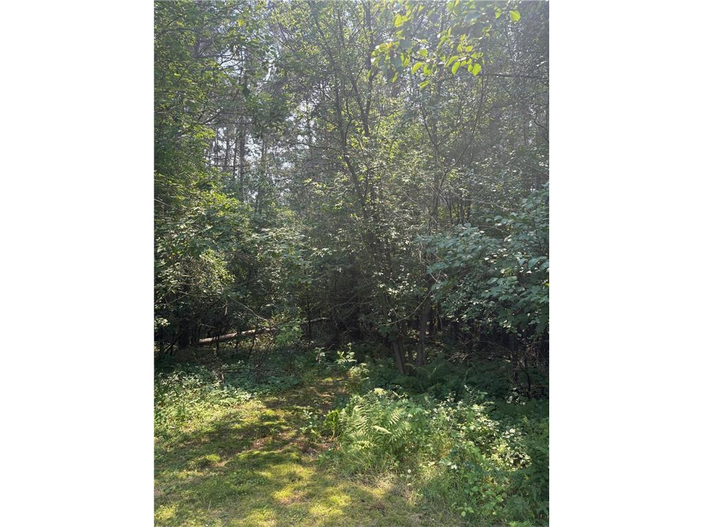 2131 N Brook View Drive Arthur Twp MN 55051 6764954 image5