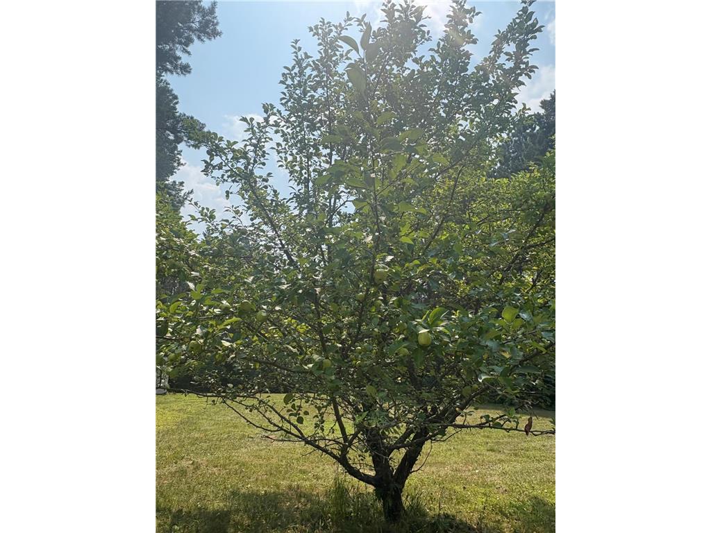 2131 N Brook View Drive Arthur Twp MN 55051 6764954 image7