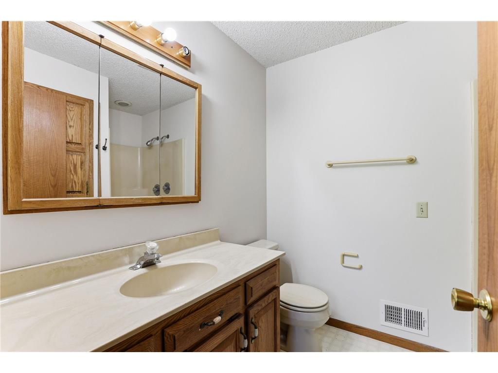 2133 Trumble Court Chaska MN 55318 7079757 image19