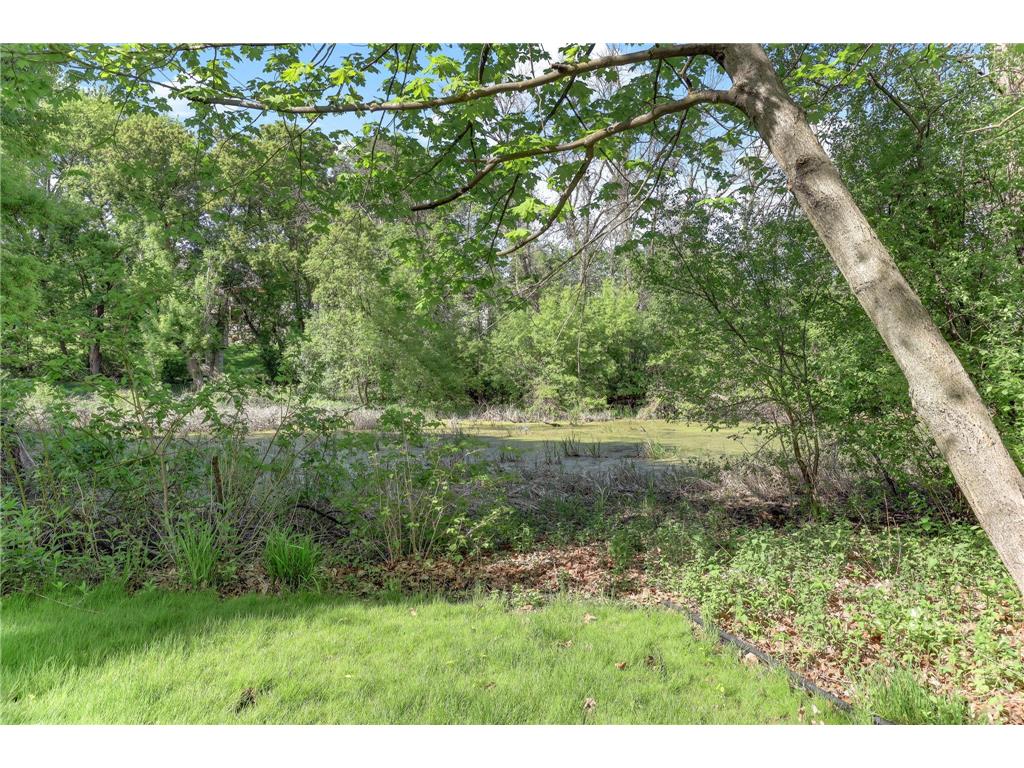 2133 Trumble Court Chaska MN 55318 7079757 image40