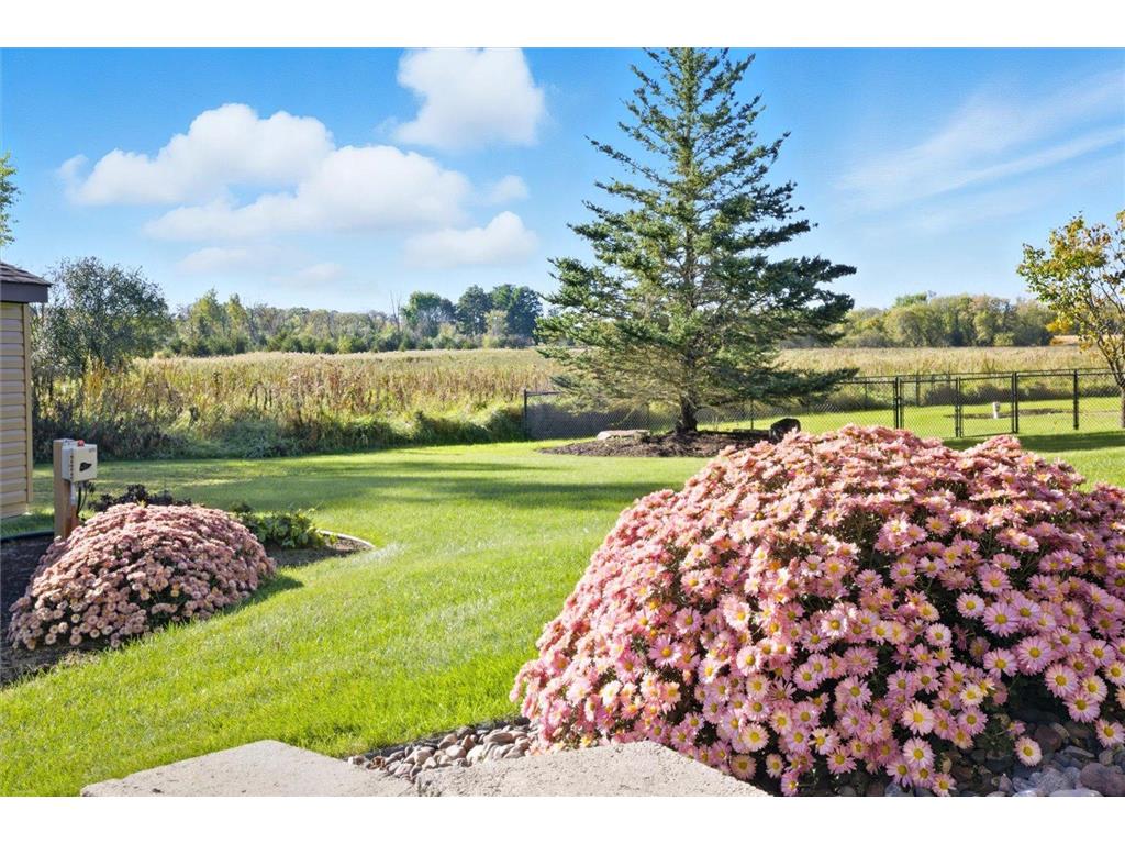 21331 Queen Court NW Elk River MN 55330 7036467 image2